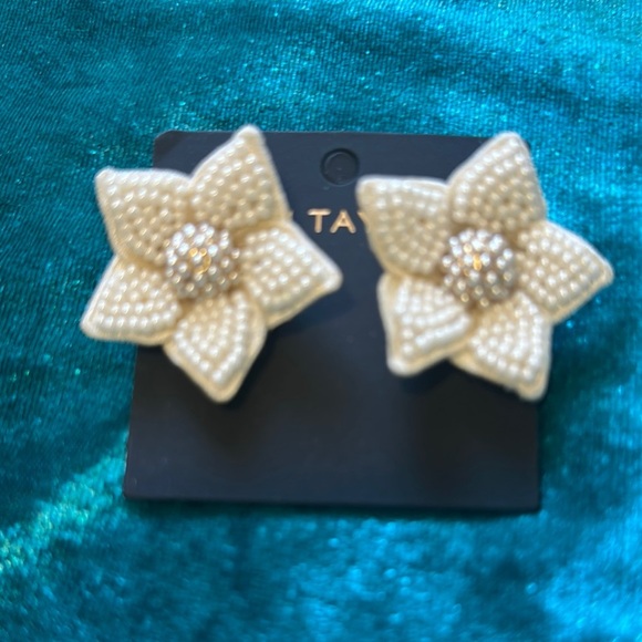 Ann Taylor Cream Textured Hair Clip - Picture 1 of 3